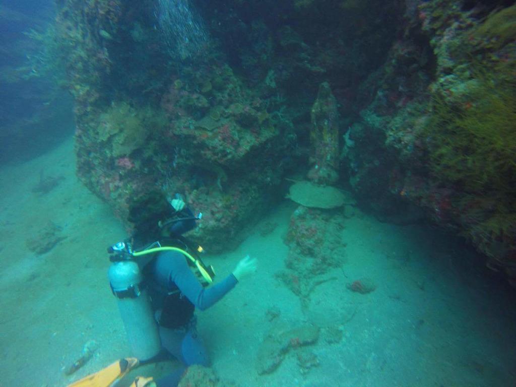 Hotel Anilao Scuba Dive Center Batangas Exterior foto